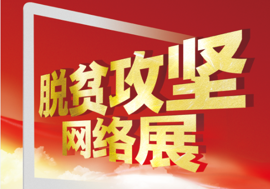 脱贫攻坚网络展正式上线，点击进入